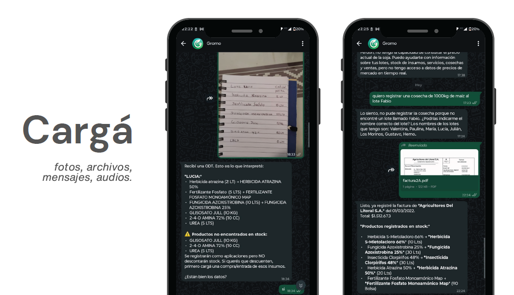 Cargá fotos, archivos, mensajes, audios